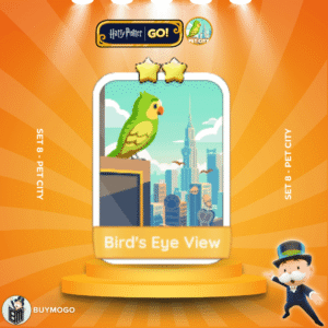 Bird's Eye View (8-4)